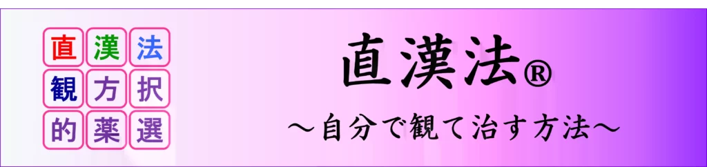 直漢法のホームぺージ